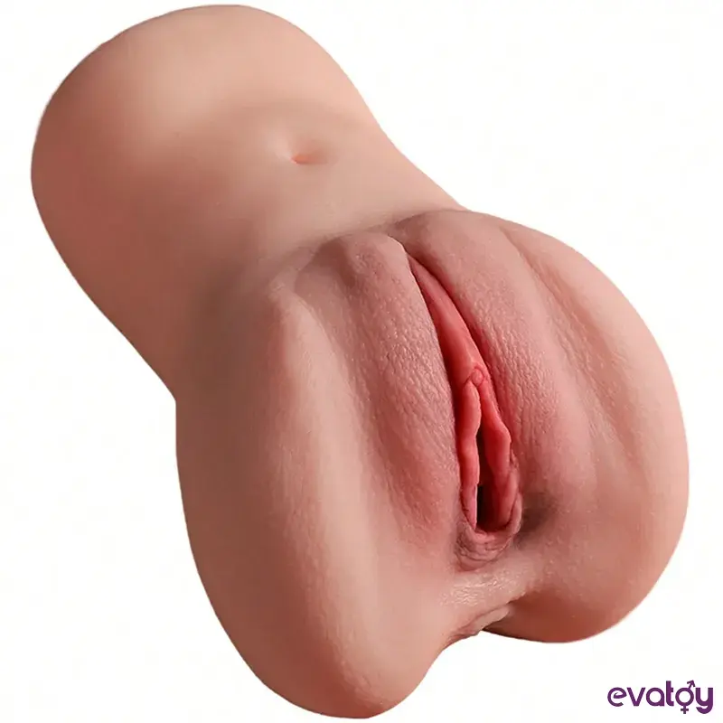 Mastürbütör